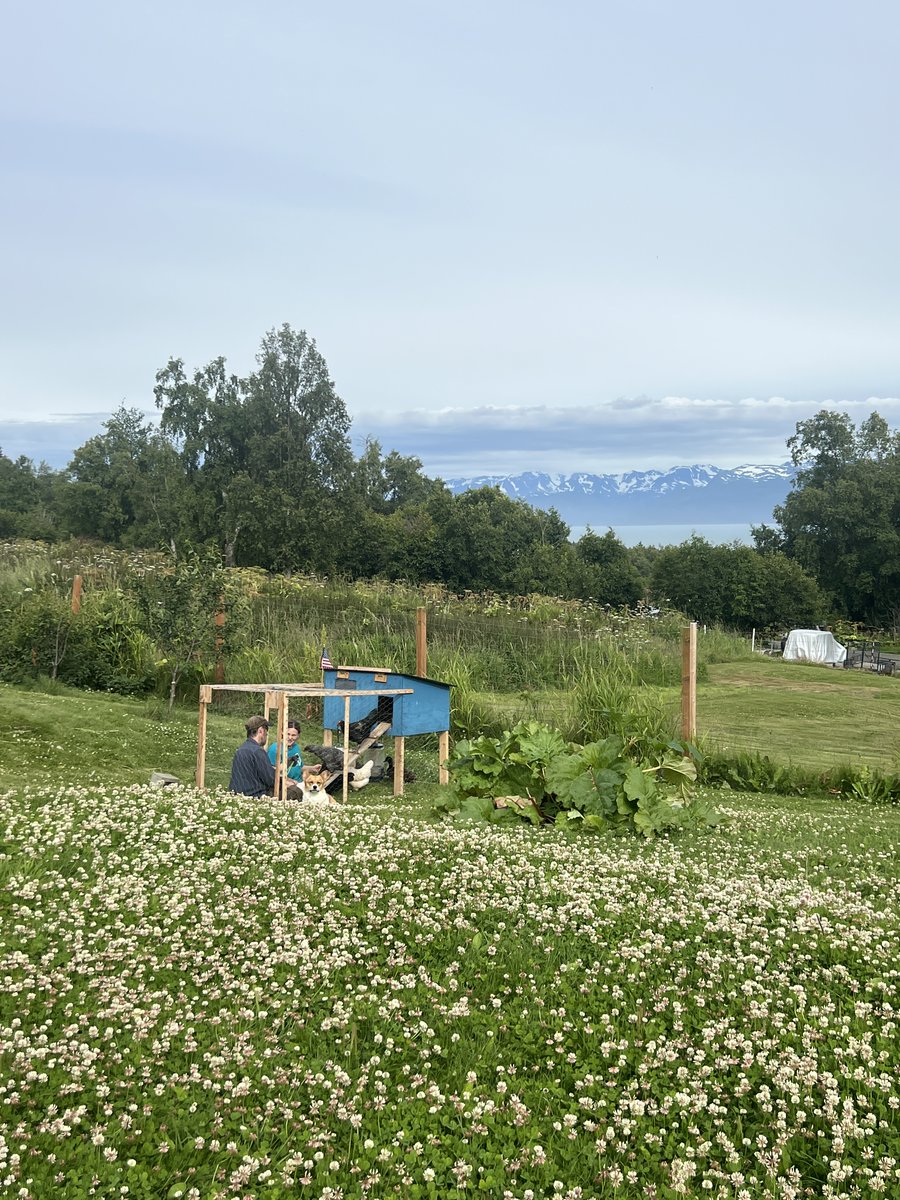 AlaskanScribe's tweet image. Another glorious Daddy Daughter Day in the books!
They spent at least 30 minutes hanging out with the birds in the portable coop. Also played games, ran to the dump, ate tacos and laughed a lot.
I💖they have a special day each week and a good relationship.
Happy Summer!