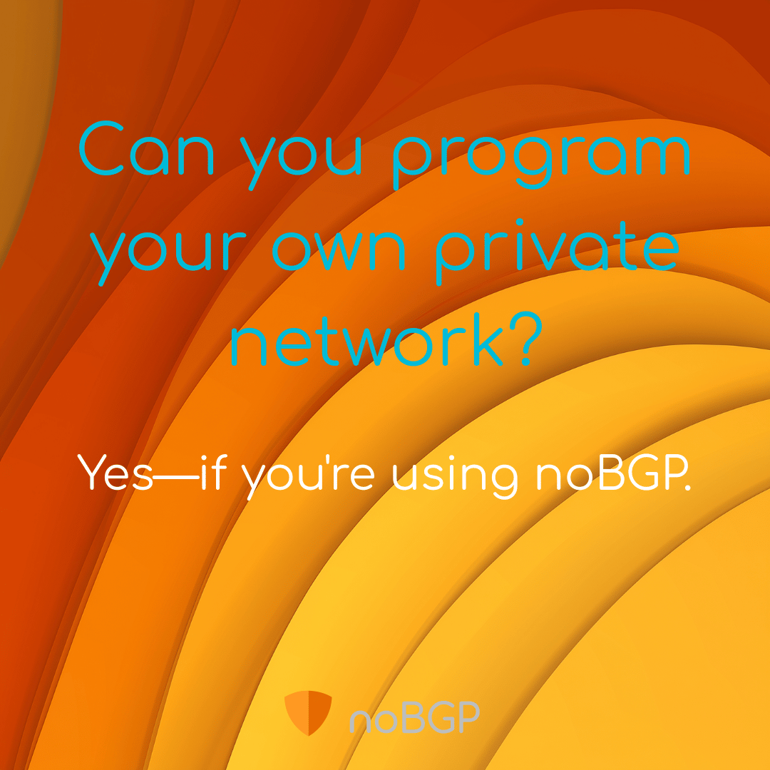 no_bgp's tweet image. Networks should be as code-defined as compute. noBGP gives you that power. #programmablenetworks