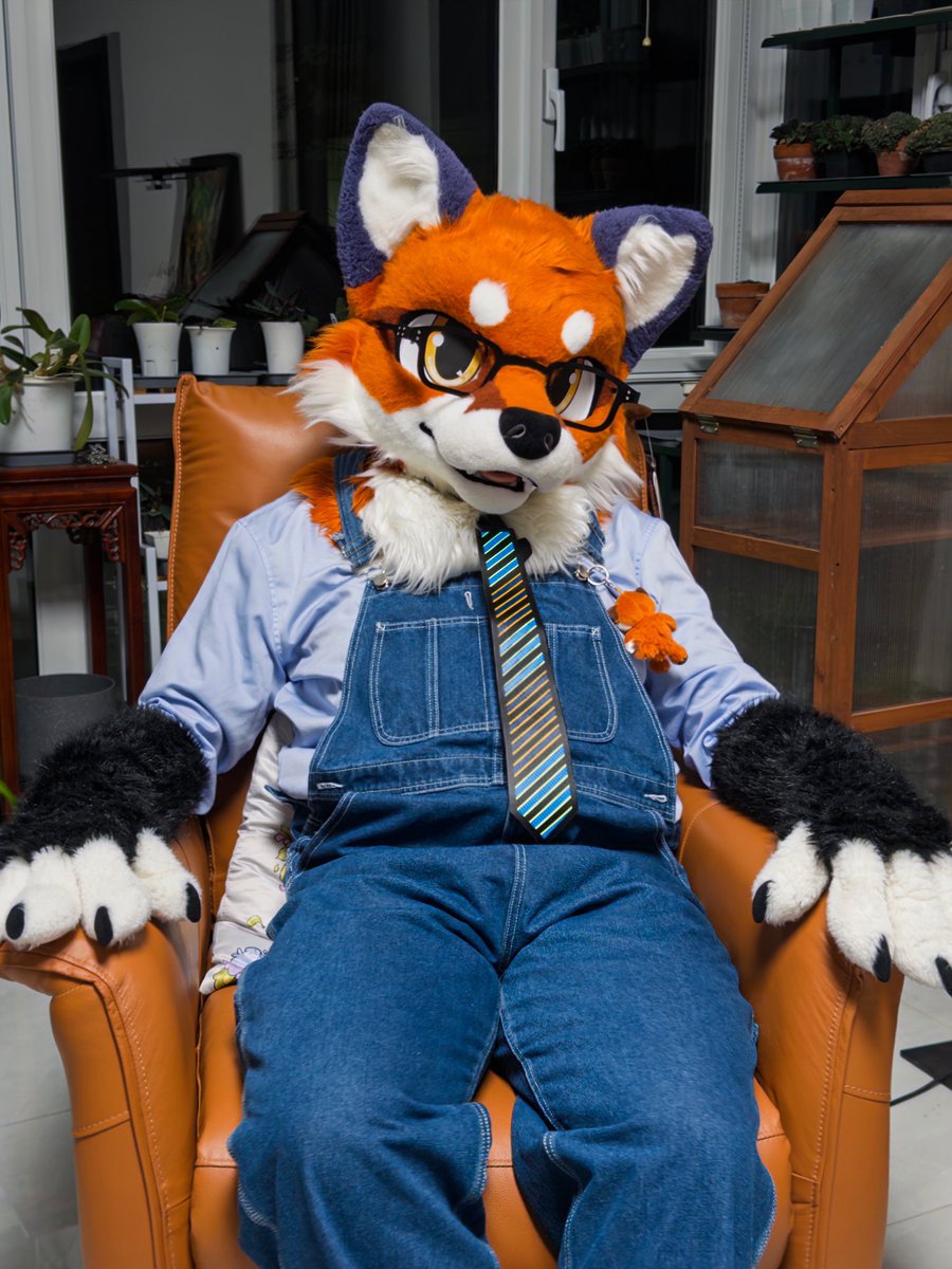 大坏狐狸 (@bubo_li) on Twitter photo 