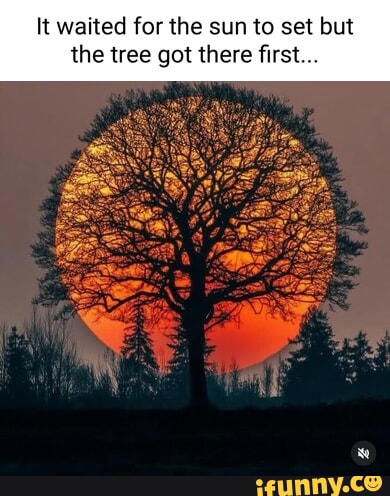 𝑵'𝑹𝒆𝒕𝒓𝒐𝒔𝒑𝒆𝒄𝒕 (@retrospect_n) on Twitter photo 