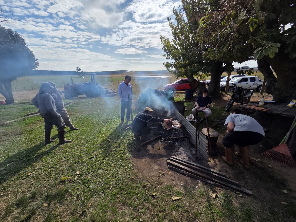 Agrifirmuy tweet media