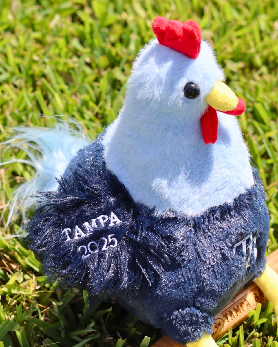 TheBayRepublic's tweet image. Commemorate the 2025 season with the exclusive Rays Rooster Plush! Embroidered with 'Tampa 2025' and full of hometown pride⭐
Available now at The Bay Republic! 🐓
#RaysBaseball #YborRooster #TampaBay #BaseballPlush