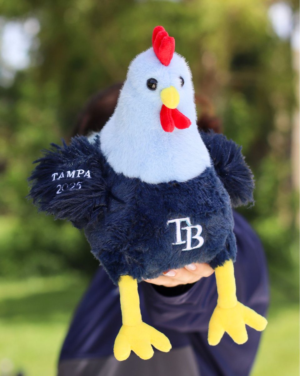 TheBayRepublic's tweet image. Commemorate the 2025 season with the exclusive Rays Rooster Plush! Embroidered with 'Tampa 2025' and full of hometown pride⭐
Available now at The Bay Republic! 🐓
#RaysBaseball #YborRooster #TampaBay #BaseballPlush