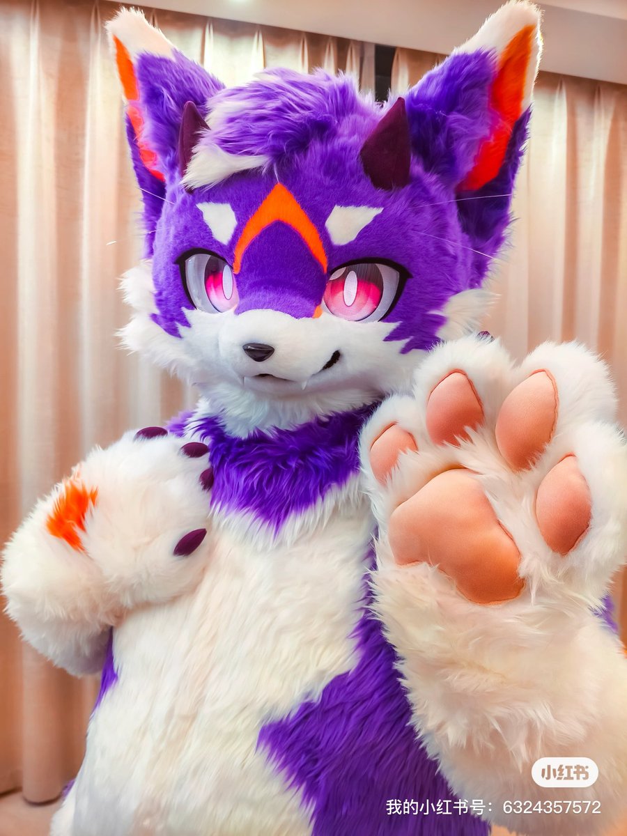 CatdragonH's tweet image. 第一次毛五呜呜qwq
来重新认识一下，这只名为喵龙的大只可爱猫龙～xwx
装师：@333sango 妈咪～