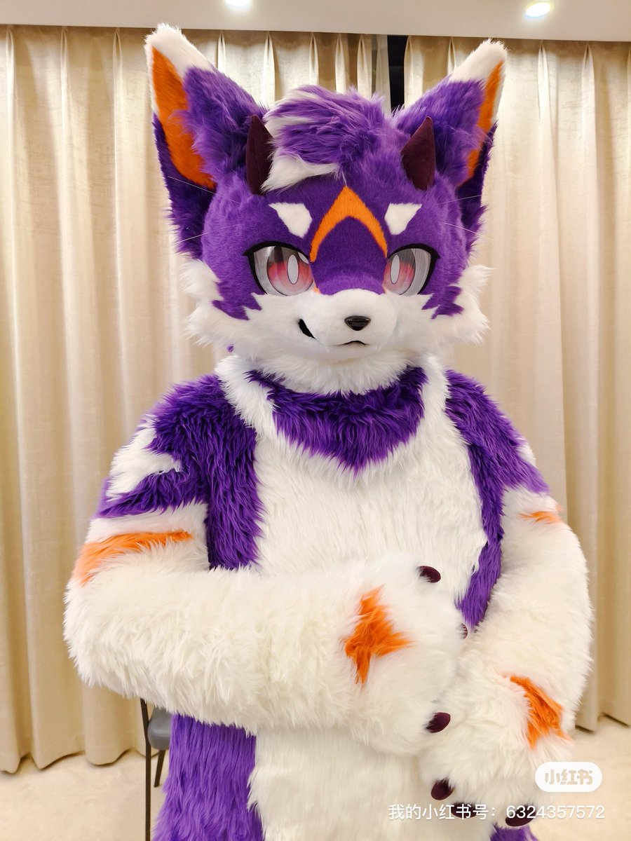 CatdragonH's tweet image. 第一次毛五呜呜qwq
来重新认识一下，这只名为喵龙的大只可爱猫龙～xwx
装师：@333sango 妈咪～
