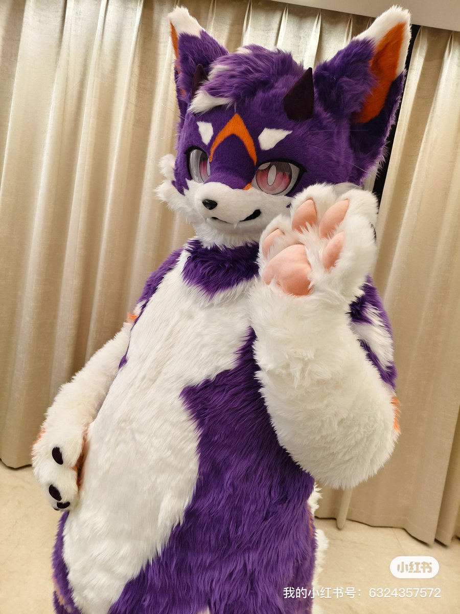 CatdragonH's tweet image. 第一次毛五呜呜qwq
来重新认识一下，这只名为喵龙的大只可爱猫龙～xwx
装师：@333sango 妈咪～