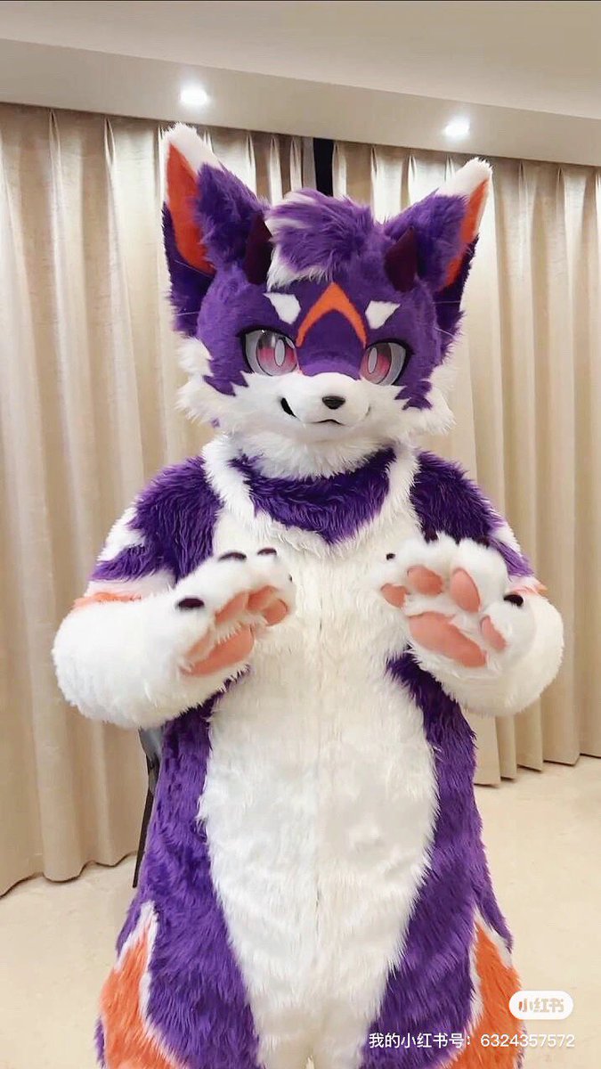 CatdragonH's tweet image. 第一次毛五呜呜qwq
来重新认识一下，这只名为喵龙的大只可爱猫龙～xwx
装师：@333sango 妈咪～