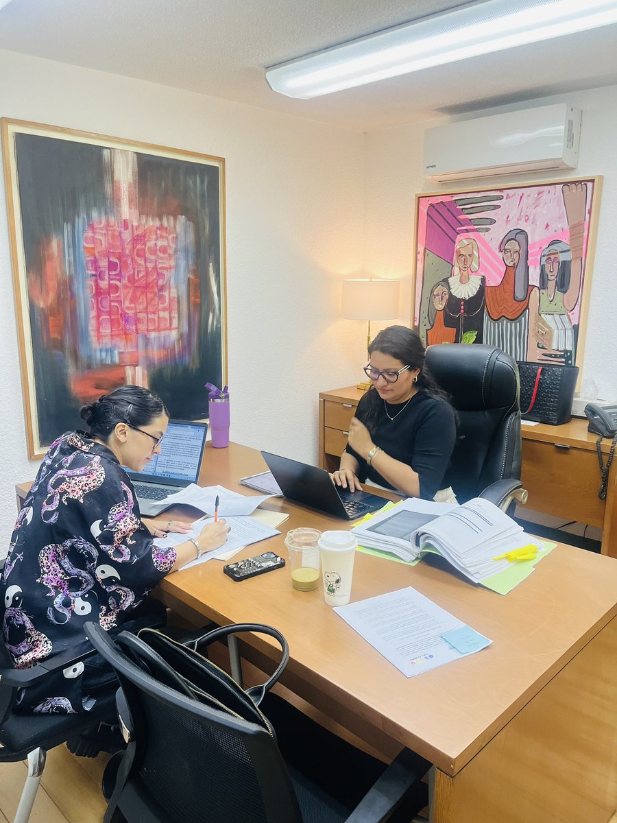 Viernes de análisis de casos pro bono. Revisamos casos donde la libertad de expresión está siendo restringida vía judicial. 

Preparamos una apelación para la caducidad de la instancia de uno,  y elaboración de un memorándum para plantear la estrategia legal de otro.