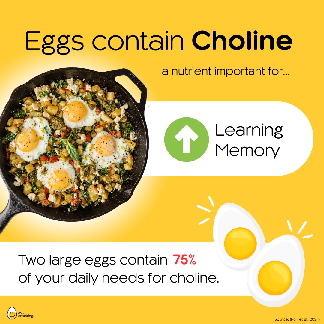 #DYK Eggs are one of the BEST sources of choline!  A nutrient our bodies do not produce enough of and is especially important for improving memory, while promoting overall cognitive health.🧠✨So next time you’re making a meal, don’t skip the eggs, your brain will thank you!🥚💛