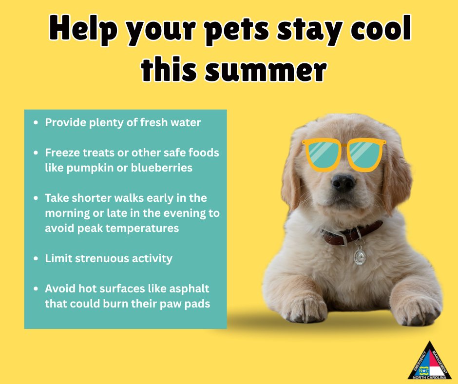 NCEmergency's tweet image. Is your pet feeling the heat? 🥵
Help your furry family members beat the summer sizzle by using these tips!
💧 Fresh water always!
🐾 Morning/evening walks instead of midday.
🧊 Frozen treats (like pumpkin or blueberries!)
🚫 Avoiding hot pavement and intense activity