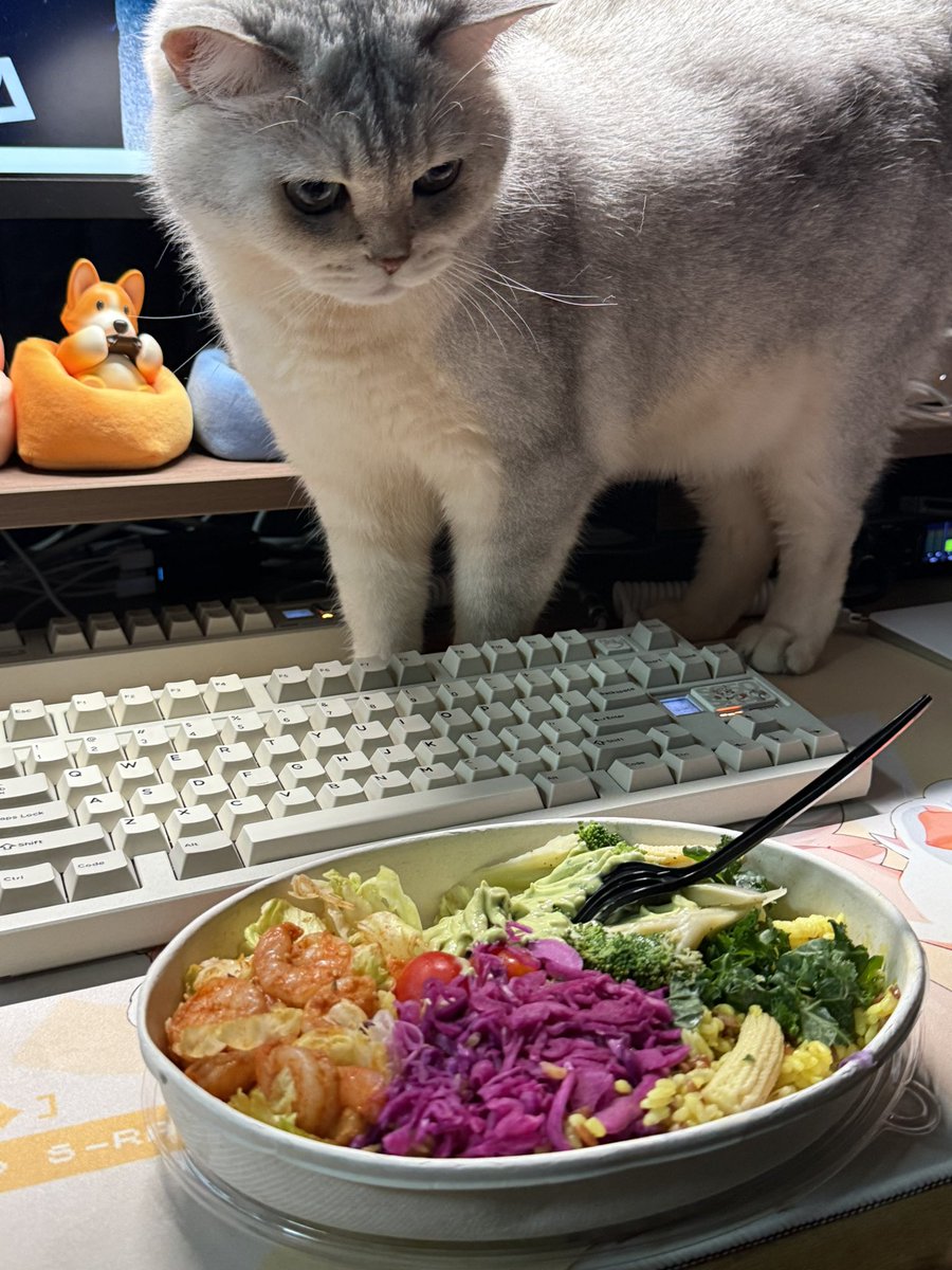 SoyaOAO's tweet image. 减脂餐太香了😭
