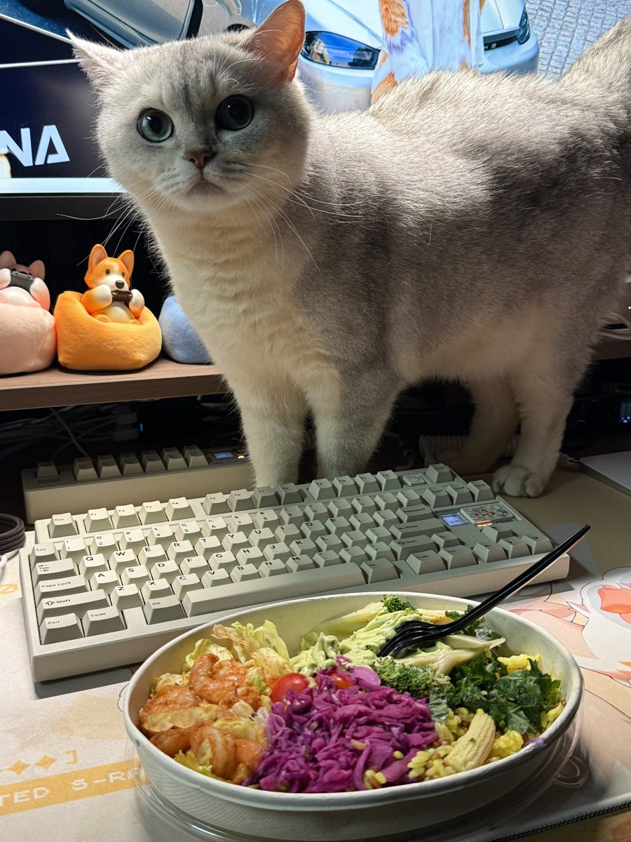 SoyaOAO's tweet image. 减脂餐太香了😭