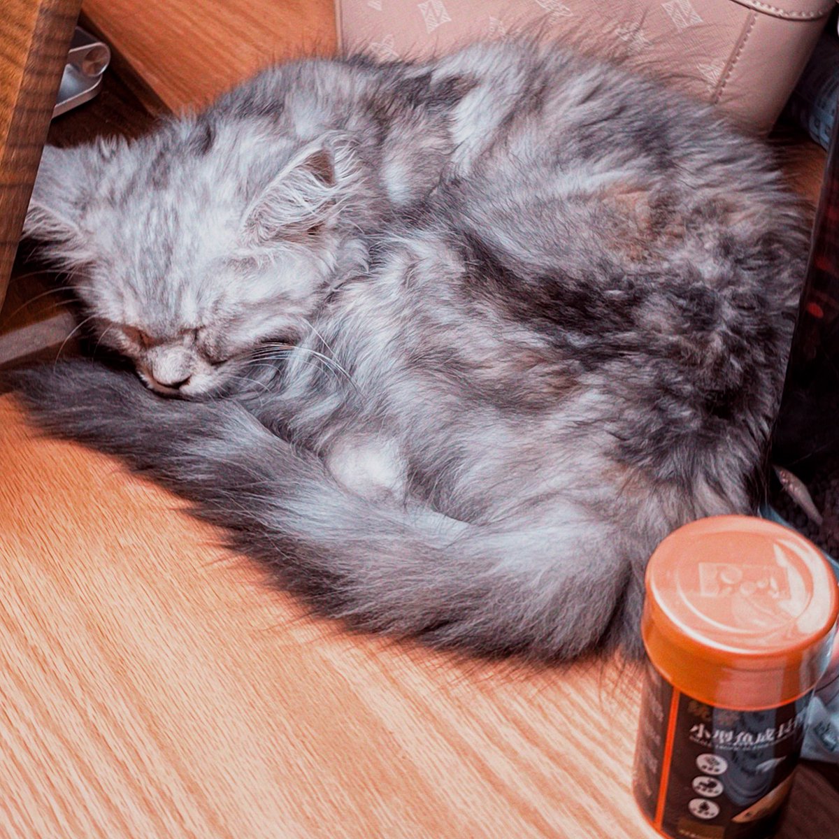 JIANGAIZE (@cashewunss) on Twitter photo 