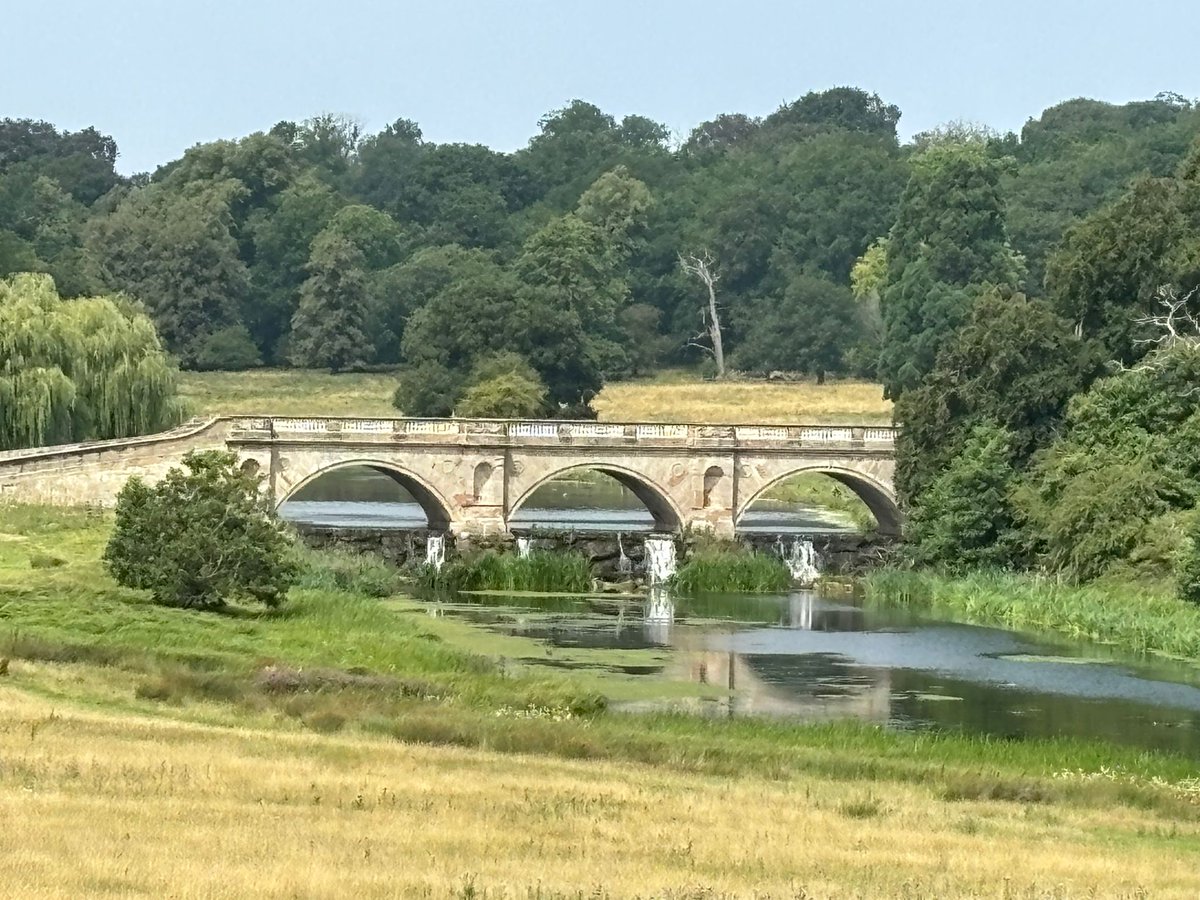 LSalt1's tweet image. Mid-summer in Kedleston Park, Derbyshire.
#SummerVibes #Derbyshire