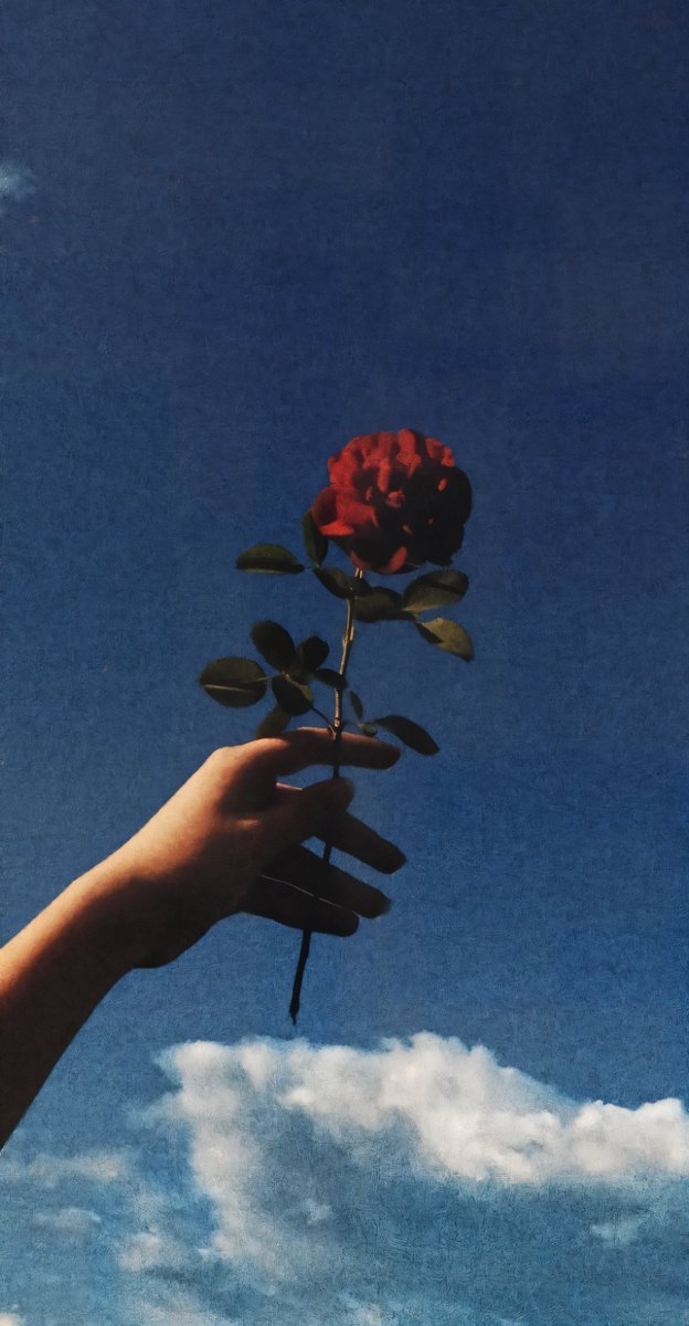 aestheticsguyy's tweet image. 4K 🌹