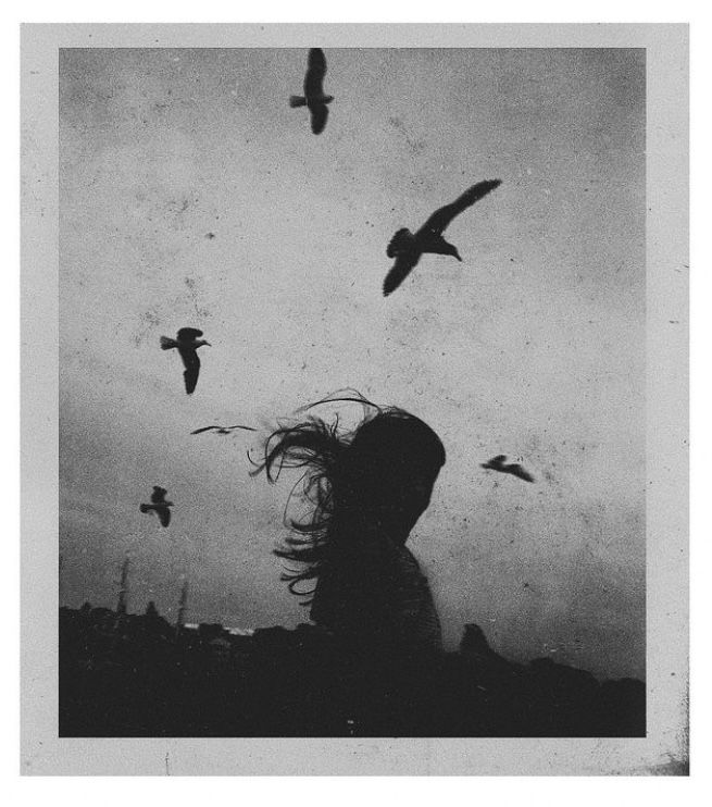 Black. (@blackdreamvibes) on Twitter photo 