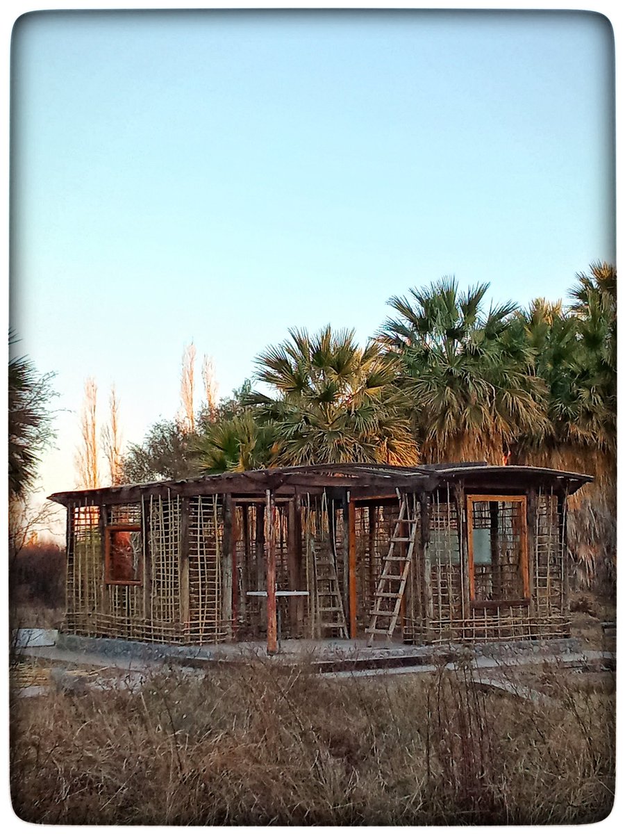 Knead π tweet media