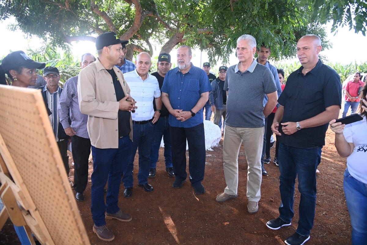 Manuel Marrero Cruz (@mmarrerocruz) on Twitter photo Hoy recorrimos, junto al Presidente <a href="/DiazCanelB/">Miguel Díaz-Canel Bermúdez</a>, centros de impacto económico y social en Ciego de Ávila, sede de las actividades por el 26 de Julio.
La provincia ha convertido ese reconocimiento en impulso para seguir encontrando soluciones con su propio esfuerzo.
#UnidosXCuba Hoy recorrimos, junto al Presidente <a href="/DiazCanelB/">Miguel Díaz-Canel Bermúdez</a>, centros de impacto económico y social en Ciego de Ávila, sede de las actividades por el 26 de Julio.
La provincia ha convertido ese reconocimiento en impulso para seguir encontrando soluciones con su propio esfuerzo.
#UnidosXCuba