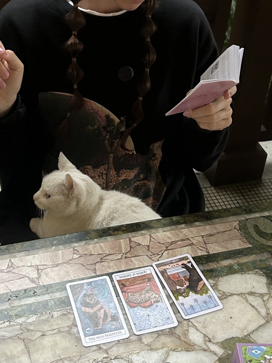 P1AbyPIA's tweet image. High Priestess helping Natasha read her card