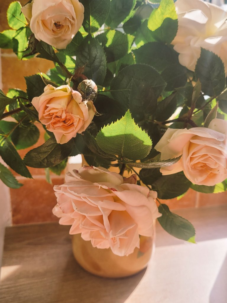 Sending Love 
     From My House
                 To Your Heart.