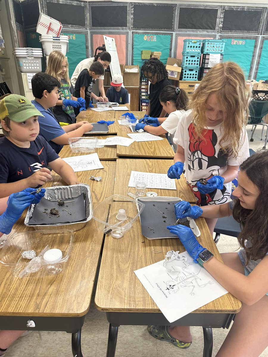 Carolyn Ryan tweet media