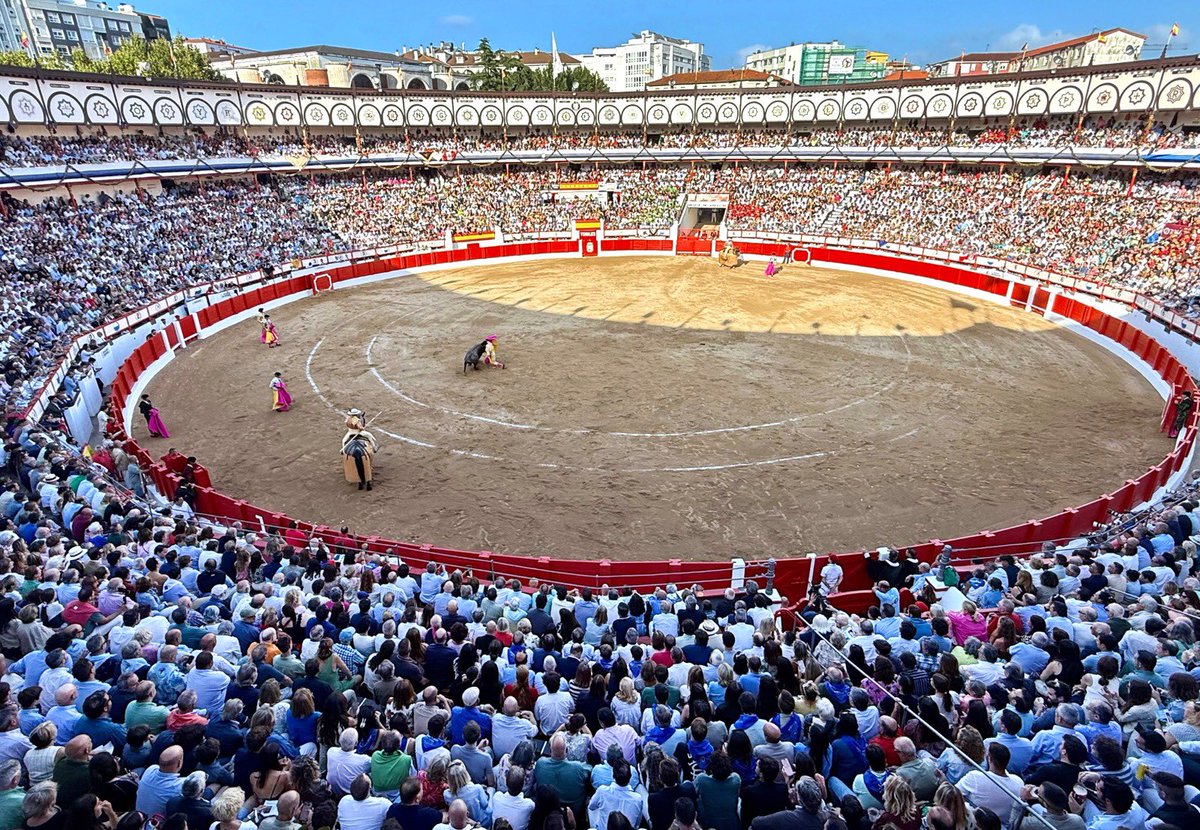 Gema Igual Ortiz tweet media