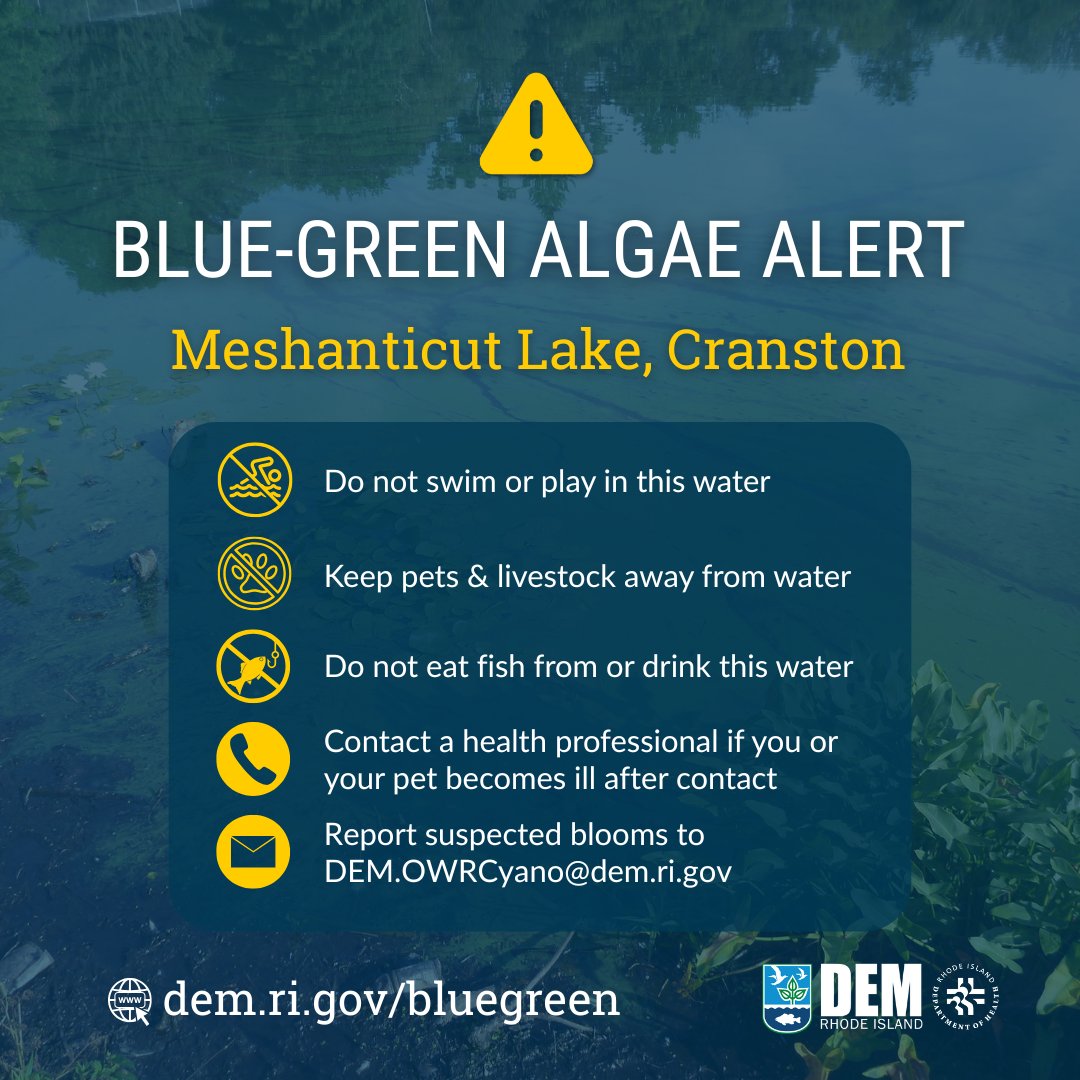 RhodeIslandDEM's tweet image. ⚠ @RIHEALTH and DEM are advising people to avoid contact with Meshanticut Lake in Cranston due to a cyanobacteria bloom.
dem.ri.gov/press-releases…