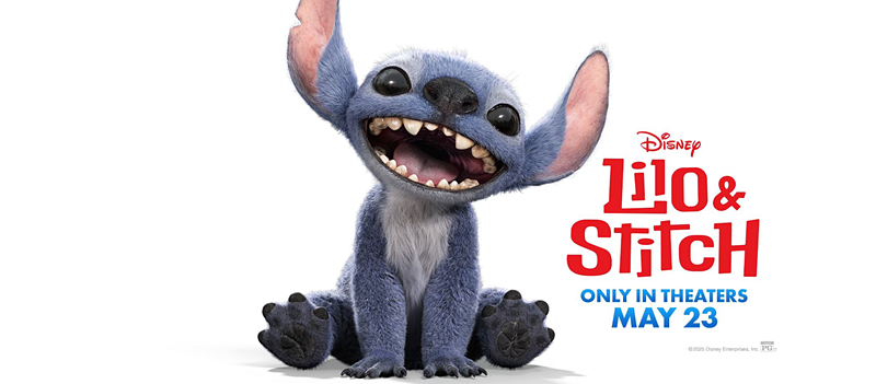 BORReport's tweet image. Disney's Lilo & Stitch grossed $204K on Thursday (from 1,325 locations). Total domestic gross stands at $419.30M.
#LiloAndStitch #BoxOffice