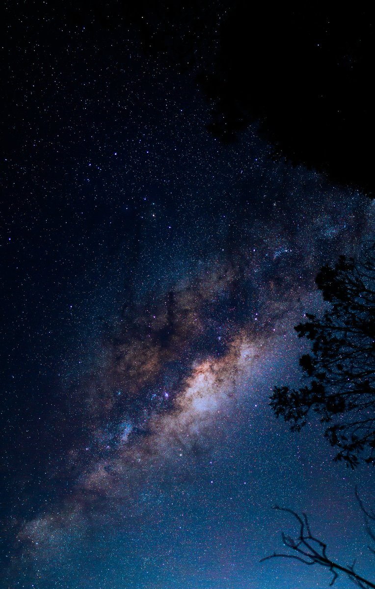 uhd2020's tweet image. This is the way