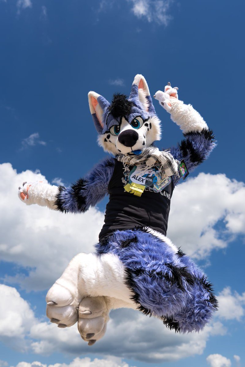 I'm trying to hide myself from #FursuitFriday in the sky, because we have the same colors!

📸@hypithefox