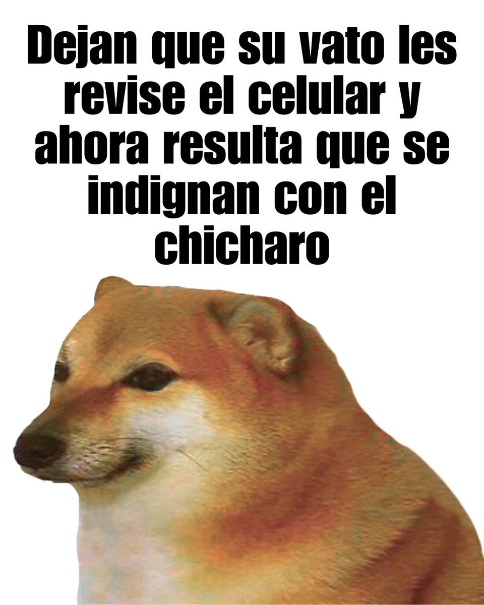 Revicheems1's tweet image. 