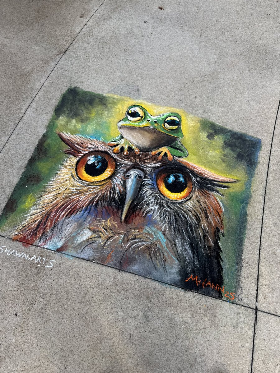 studiomccann's tweet image. My 1 hour chalking for CBS affiliate @WCCO Excited for WE Chalk festival at my gallery this weekend in the West End in St Louis Park, MN
It runs Sat and Sun 10-5pm
This piece was 3ft by 4ft.