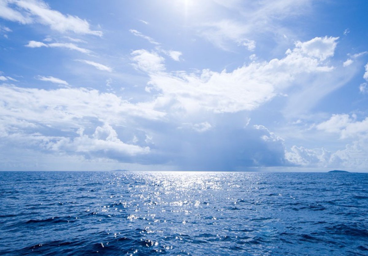 Marouss28776392's tweet image. J’ai laissé mon regard rejoindre l’océan
Scintillant et bleuté, mais le ciel se mirant
Tel un reflet d’azur, donnait tant d’émotion
Que j’en perdis mon âme et ma respiration,
Tandis que dans le sable épousseté de vent
Les pas de notre amour s’effaçaient doucement…
Maroussia