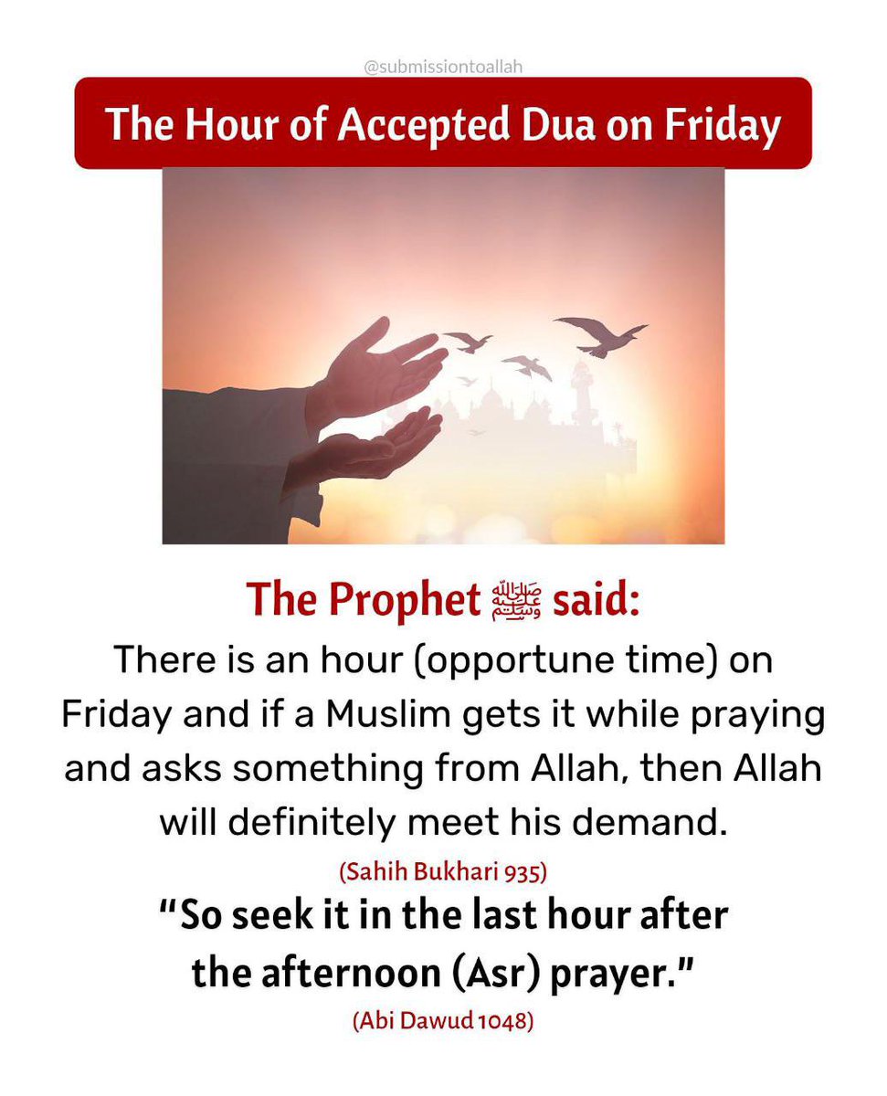 CryptoMocro_'s tweet image. For my muslim followers ❤️
Its dua time 🤲
May Allah help the people of Palestine against the oppressors