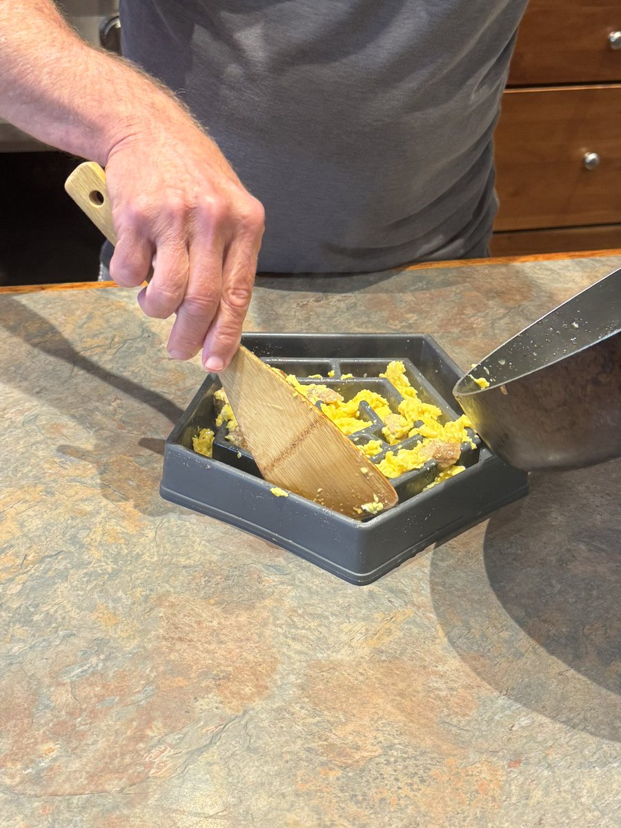 mayaisfiya's tweet image. walked in on my dad putting scrambled eggs and sausage in my dogs bowl 😔 this is why the vet always says she’s fat when we get back from visiting him