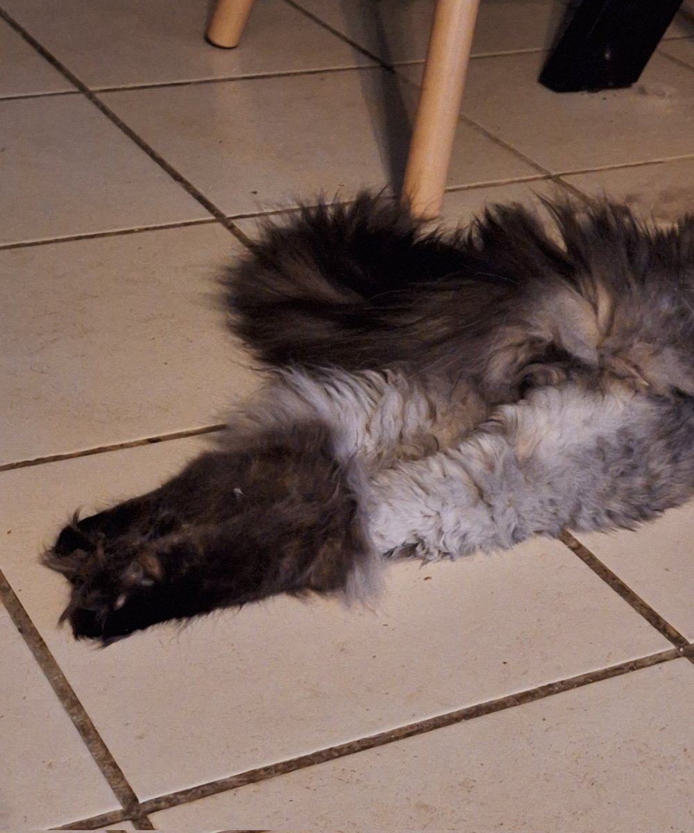 Hoe vinden jullie mijn nieuwe laarsjes?