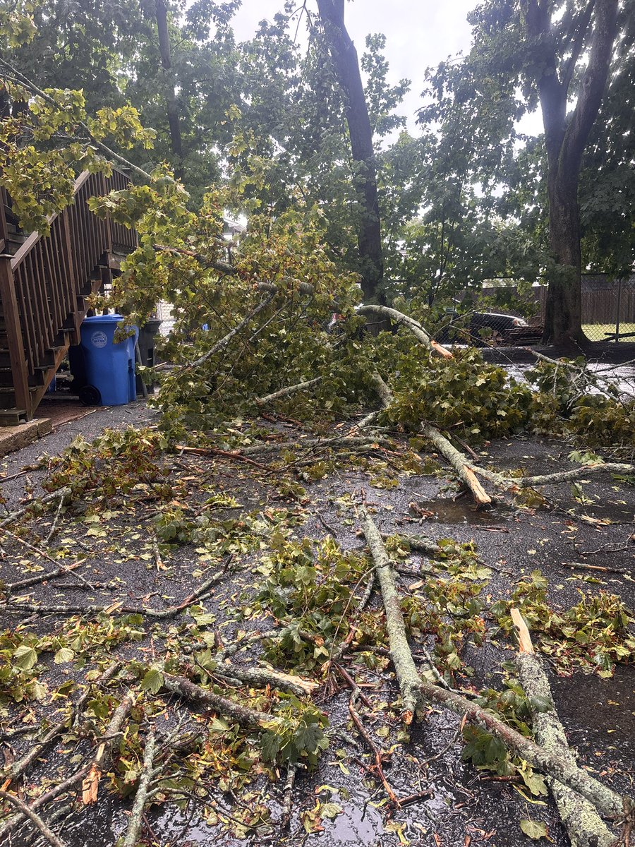 DisclosurePod's tweet image. I almost just got hit by a tree.
I had this foreboding feeling, that something was about to happen. The sky ripped open. The rain came fast. I ran to move my car into the garage, and narrowly avoided a tree that was hit by lightning and came down onto my driveway.
Idk what…