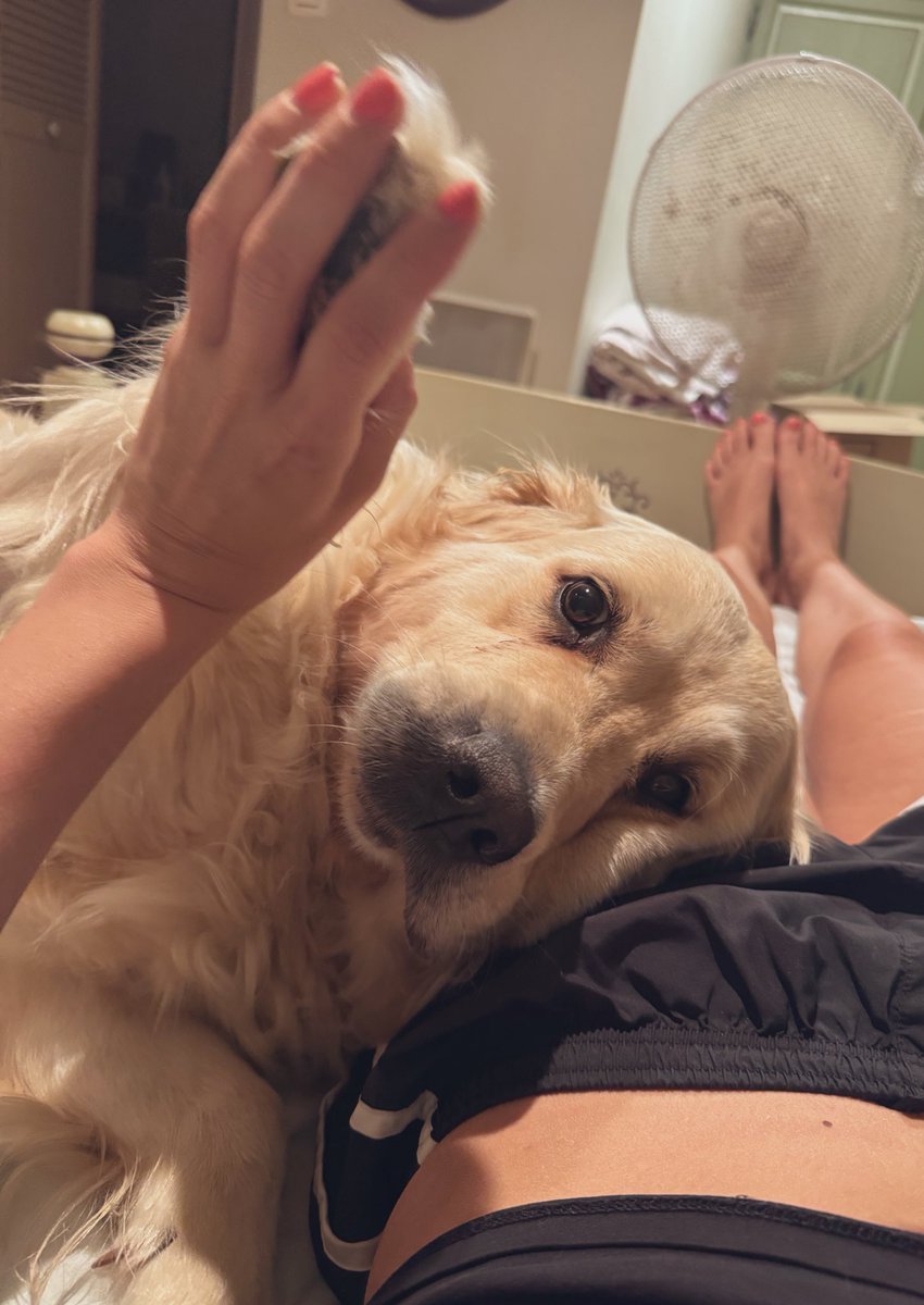 High five 🖐️