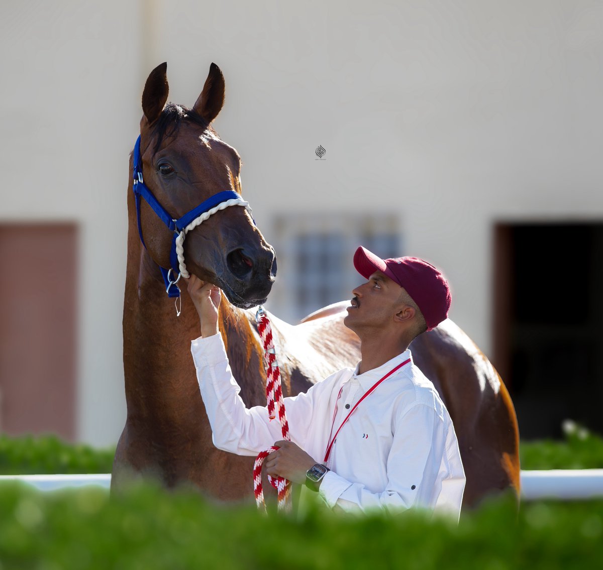 Kanzie (USA)

ماشاء الله تبارك الله