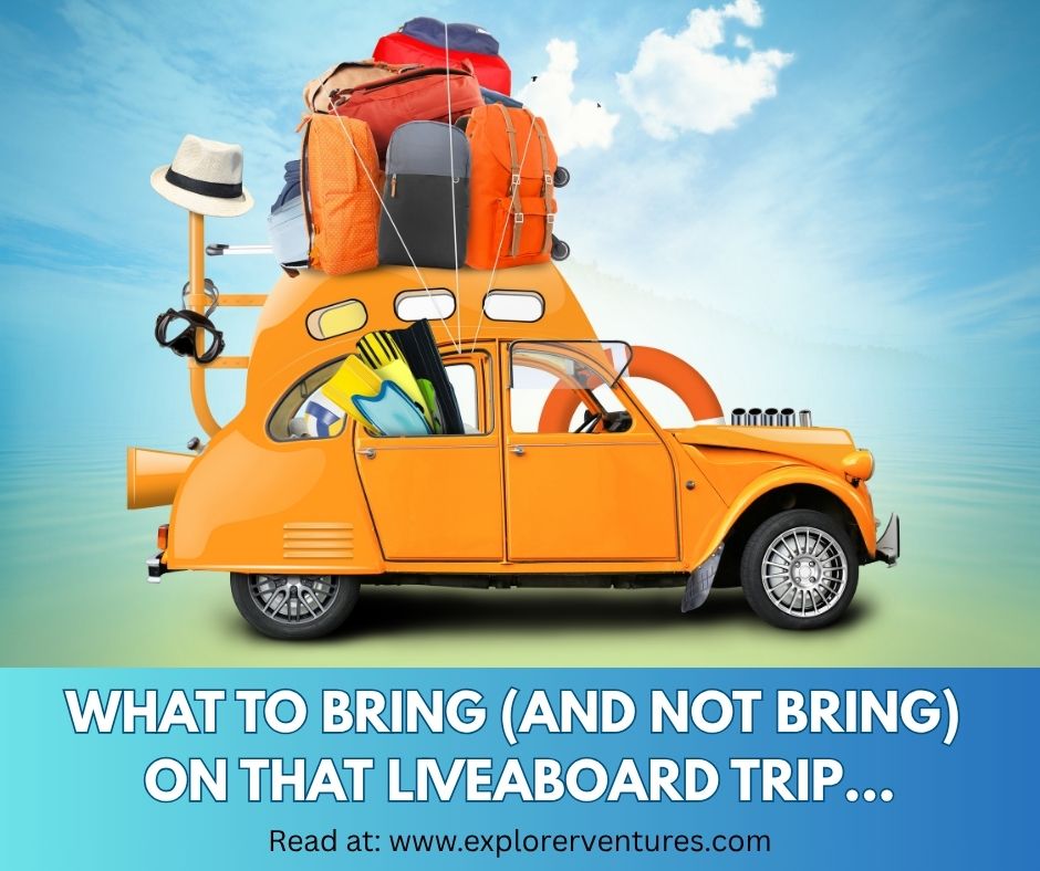 Have a liveaboard trip coming up? 🧳 Wondering what to pack (and what you can leave behind)?

We’ve got the essentials, pro tips &amp; those little extras that make a big difference.
🔗 explorerventures.com/travel-tips/ho…
#LiveaboardDiving #DiveTravelTips #ScubaAdventure #WhatToPack