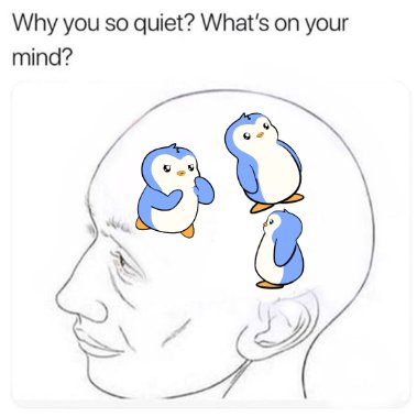the_NFT_way's tweet image. People ask me why I'm quiet. I tell them I'm just an introvert, but in reality...$PENGU