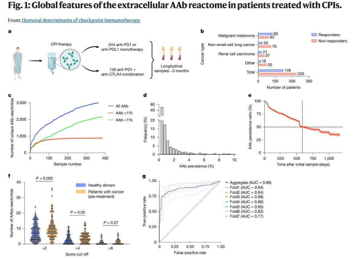 jsoriamd's tweet image. Humoral Immunity in CheckPoint Inhibitors Response
CPI response isn't just T cell-driven.
In a 374-patient CPI cohort, @Nature study shows:
✅ Broad, stable anti-exoproteome autoantibody signatures
✅Some AAbs enhance CPI efficacy (e.g., by blocking IL-6, IFN-I, TL1A)
✅Others…