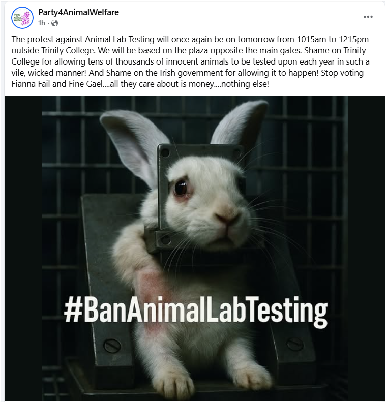 AnimalPartyIE's tweet photo. The protest against Animal Lab Testing will once again be on tomorrow from 1015am to 1215pm outside @tcddublin . Plaza opposite the main gates. Shame on #TrinityCollege for allowing tens of thousands of innocent animals to be tested upon each year!
#BanAnimalLabTesting 🐇🐀🪿🐒 https://t.co/FBpVPb7ud5