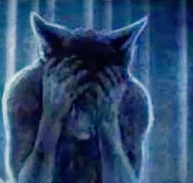 sillypillytime's tweet image. no one care me