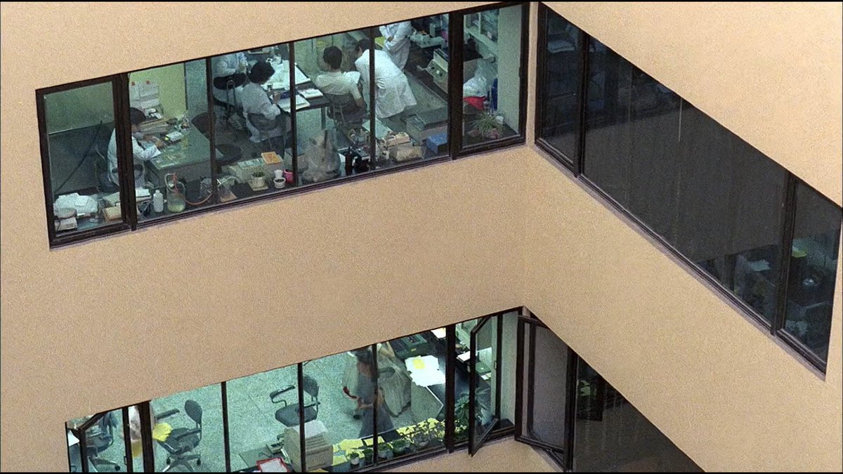 agvsfilm's tweet image. "The story is so close to life, and yet it's intruiguing"
Terrorizers 恐怖分子
dir. Edward Yang, 1986