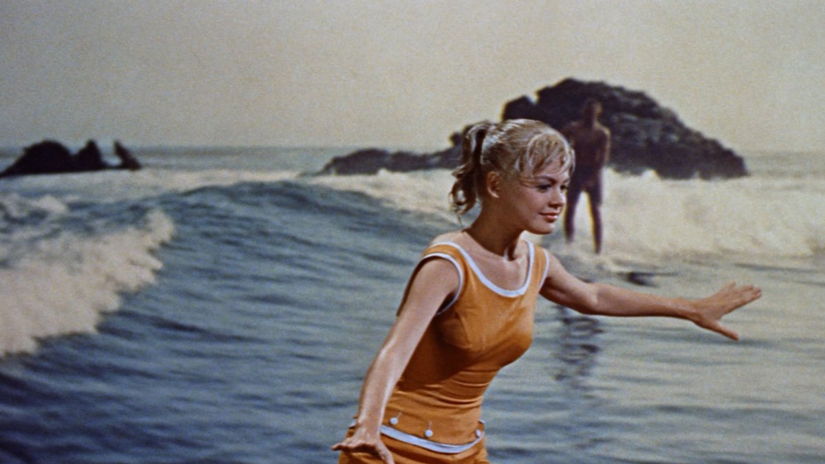 RanesHook's tweet image. #FarOutFriday - GIDGET (1959) - In order to impress summer hunks #JamesDarren & #CliffRobertson, cute beach bunny #SandraDee trains to be the best surfer gal in all of Southern Cali in this summer romp by director #PaulWendkos! youtube.com/watch?v=Y5suc-…