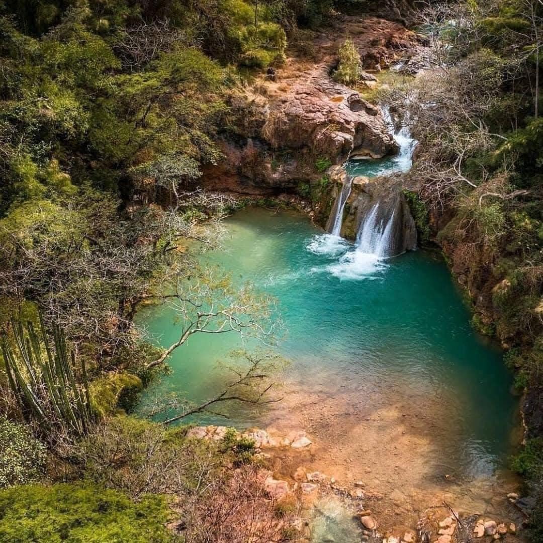 Grecia Carolina Cerda Olmedo, estudiante de #CUCEI y parte de la selección universitaria de cañonismo, lidera una investigación sobre la calidad microbiológica del agua y los riesgos sanitarios en el Cañón de Comala, Chiquilistlán. 🔬🌿💧  

📲 udg.mx/es/noticia/ana…