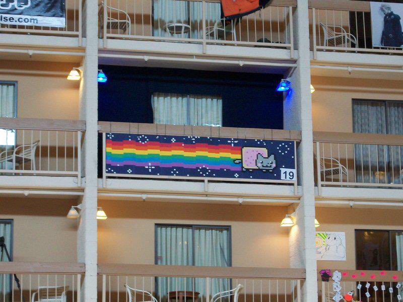 NyanCat's tweet image. 