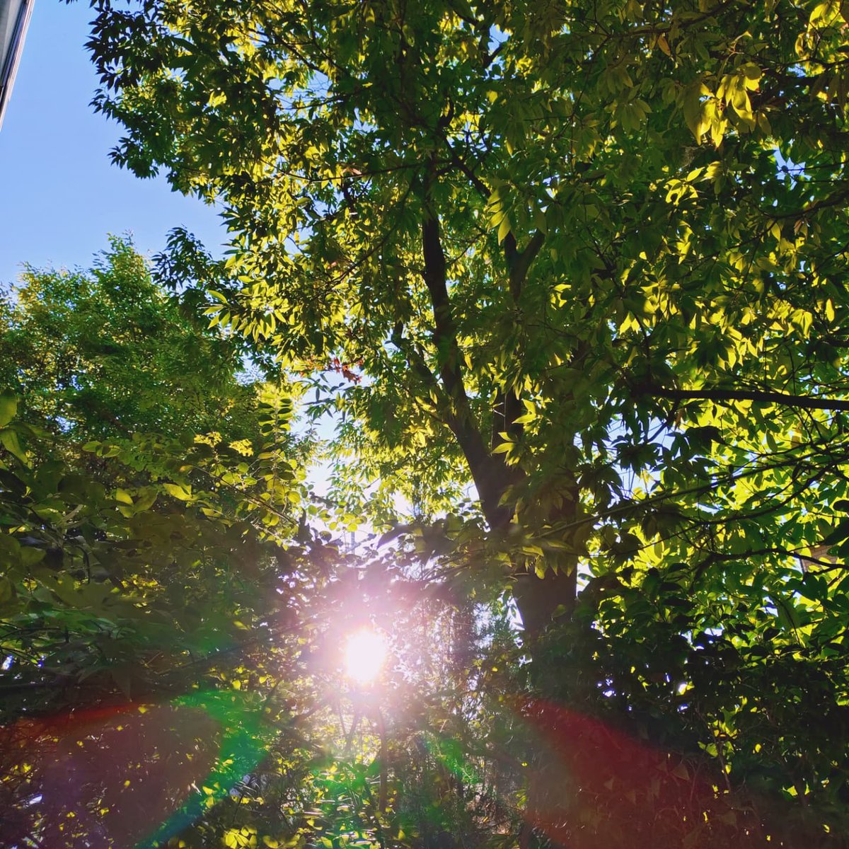 jun_mitsuyasu's tweet image. おはようございます☀️
今日( 7月26日(土) )は晴れてます☀️
土曜日、の~んびりしましょ✨🎵
も少し寝ます😴
