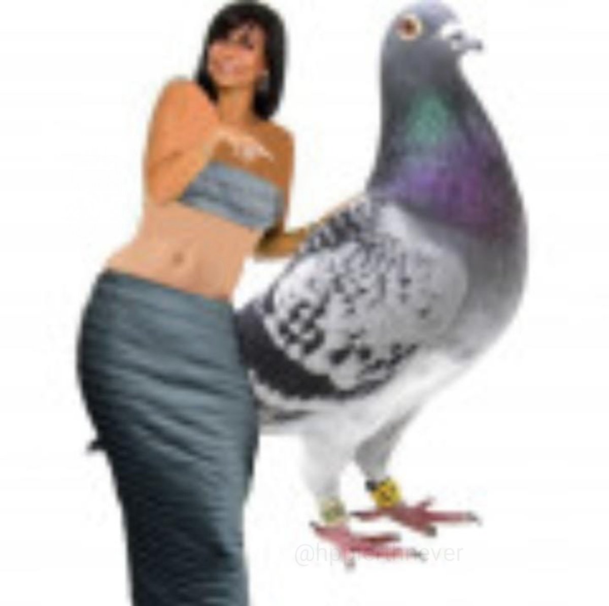 hppierthnever's tweet image. por mim o deluxe do virgin já era anunciado dia 27 mesmo